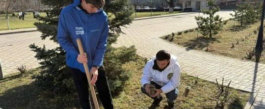 ЧЕЧНЯ. «Молодая Гвардия» и «Волонтёрская Рота» превратили территорию ЧГПУ в цветущий сад