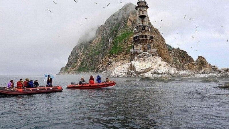 Дальневосточные водоросли против рака: ученые запускают производство лекарств будущего на Сахалине