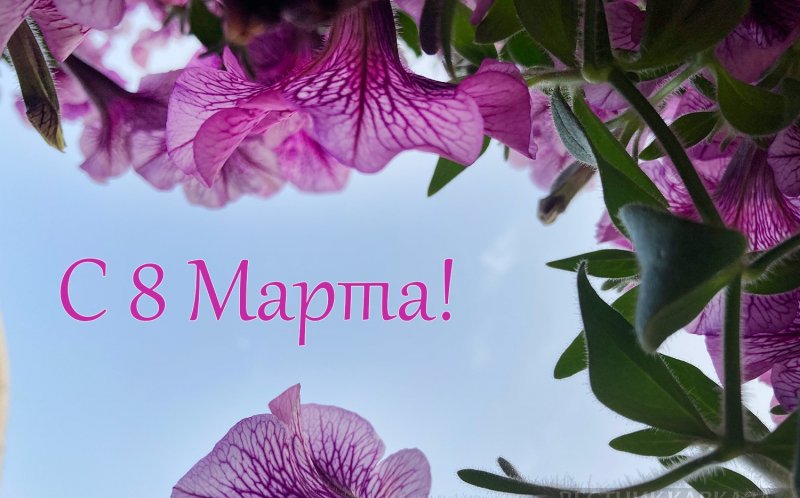 С 8 марта: поздравления, красивые открытки, подарки, история праздника