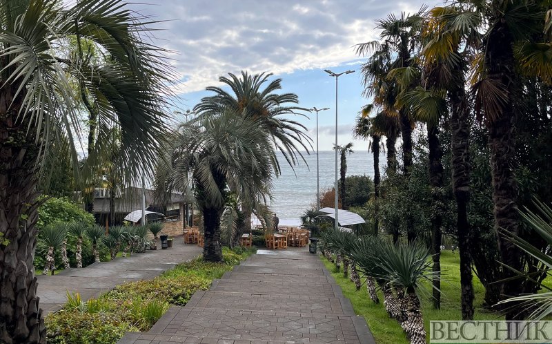 Турпоток в Сочи в этом году может сократиться на 1 млн человек – АТОР