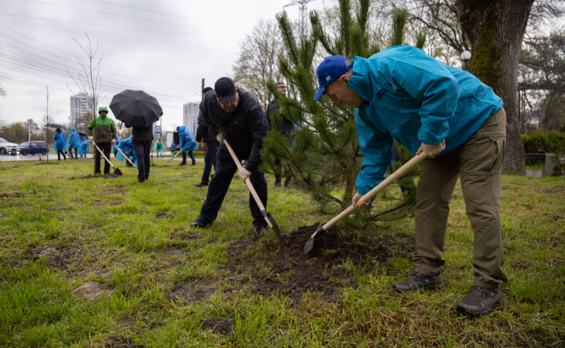 АДЫГЕЯ. «Столица республики должна быть еще зеленее и комфортнее»: глава Адыгеи Мурат Кумпилов принял участие в высадке деревьев на территории лесопарка «Мэздах»