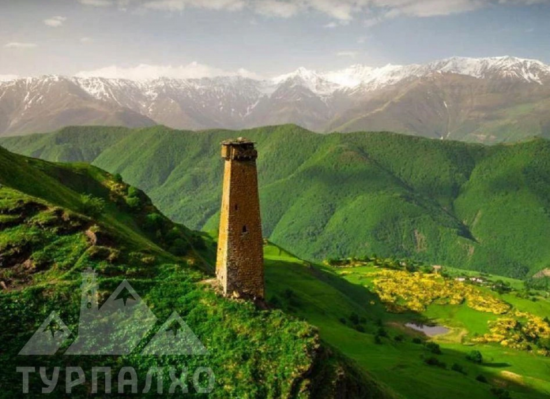 ЧЕЧНЯ. Участники СВО становятся лидерами Чечни