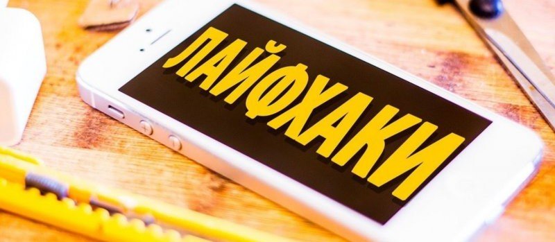 Чеснок без хлопот: подкормка для гигантских головок