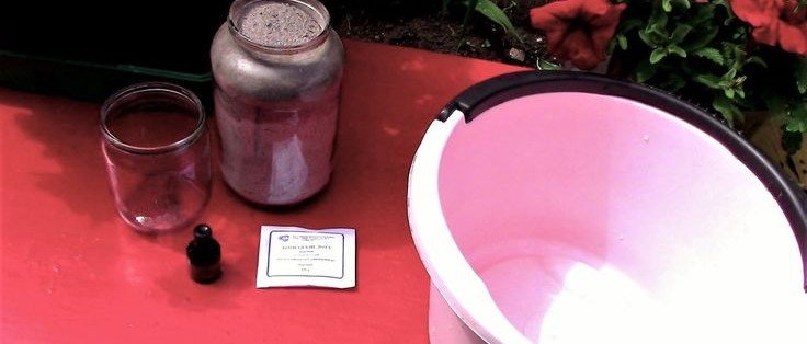 Дрожжи, йод и зола творят чудеса с урожаем