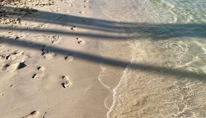 В Туапсе экстренно очищают пляжи от загрязненного грунта