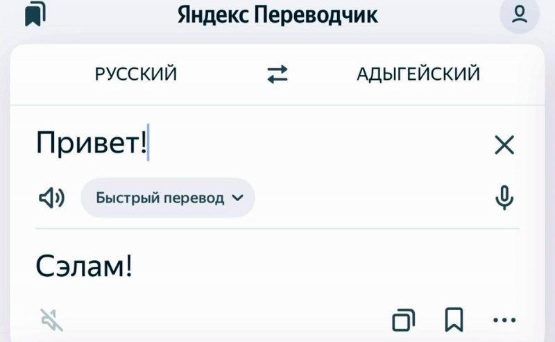 АДЫГЕЯ. «Изучать богатую культуру адыгов и черкесов стало легче»: Мурат Кумпилов сообщил о включении адыгского языка в «Яндекс Переводчик»