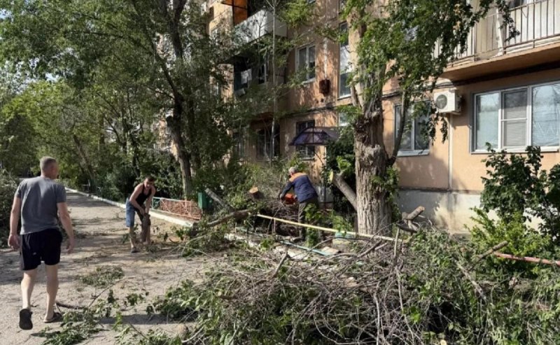 АСТРАХАНЬ. Ураганный ветер повалил десятки деревьев в Астрахани