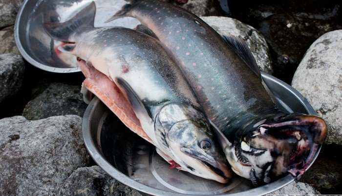 Поставлять в РФ рыбную продукцию смогут два предприятия из Армении