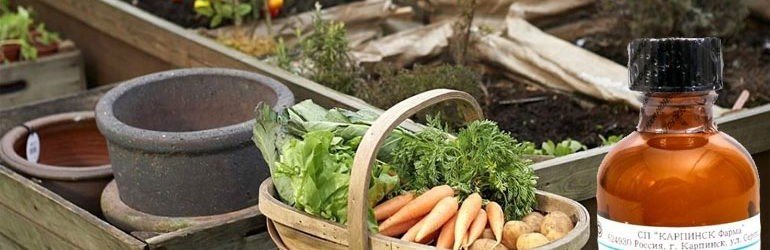 Универсальный рецепт для обработки плодовых и ягодных культур