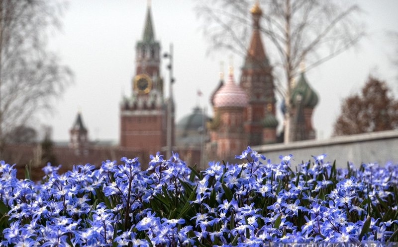 В Кремле назвали позитивным стремление ЕС к диалогу с РФ