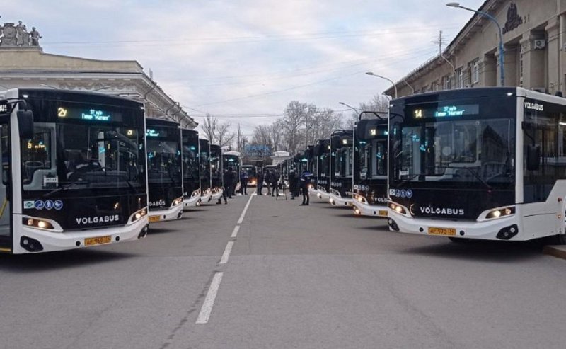 ВОЛГОГРАД. 49 новых автобусов для Волгограда и Волжского: регион продолжает обновление парка
