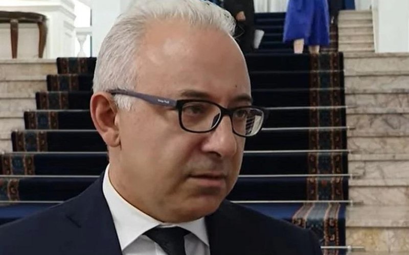 Замглавы МИД Армении прокомментировал возможность участия России в проекте TRIPP