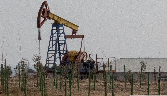 В России с начала года открыли семь нефтяных месторождений