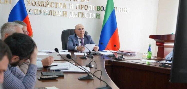 ДАГЕСТАН. Дагестан засеял всего 2,5 тыс. га озимых: семян хватает лишь половине аграриев